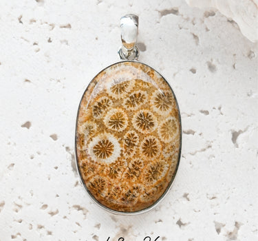 Fossil Coral Pendant - One of a Kind