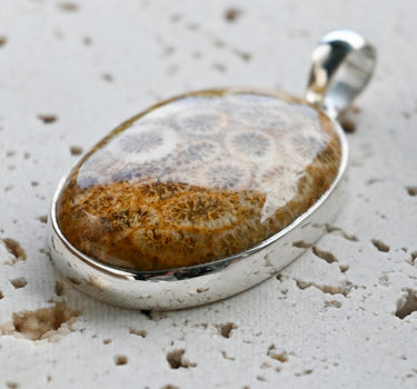 Fossil Coral Pendant - One of a Kind