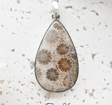 Fossil Coral Pendant - One of a Kind