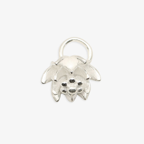 Lotus Flower